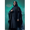 PRÉCOMMANDE - Harry Potter - Figurine Severus Snape, Premium Format Mixed Media