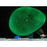 PRÉCOMMANDE - Metroid Prime - Figurine Metroid (Glow in the Dark), Standard Edition