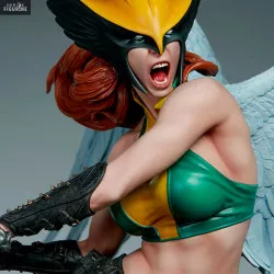 DC Comics - Figurine...