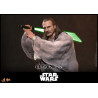 Star Wars: La Menace Fantôme Movie - Figurine Qui-Gon Jinn, Artisan Edition Hot Toys Exclusive Movie Masterpiece