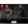 PREORDER - Star Wars : The last Jedi - Figure Luke Skywalker, Artisan Edition Hot Toys Exclusive Movie Masterpiece