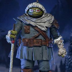 PREORDER - Teenage Mutant...