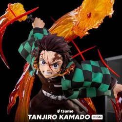 PRÉCOMMANDE - Demon Slayer...