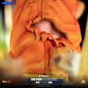 Dragon Ball Z - Son Goku Super Saiyan figure, HQS Dioramax