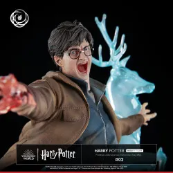 PREORDER - Harry Potter -...
