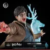 Harry Potter - Harry Potter figure, IKIGAI