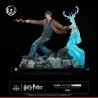 Harry Potter - Figurine Harry Potter, IKIGAI