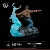 Harry Potter - Harry Potter figure, IKIGAI