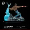 Harry Potter - Figurine Harry Potter, IKIGAI