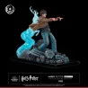 Harry Potter - Harry Potter figure, IKIGAI