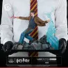 Harry Potter - Harry Potter figure, IKIGAI