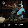 Harry Potter - Figurine Harry Potter, IKIGAI
