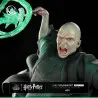 Harry Potter - Lord Voldemort figure, IKIGAI