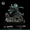 Harry Potter - Lord Voldemort figure, IKIGAI