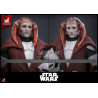 PRÉCOMMANDE - Star Wars: The Clone Wars - Figurine Saesee Tiin Clone Armor Hot Toys Exclusive, Television Masterpiece