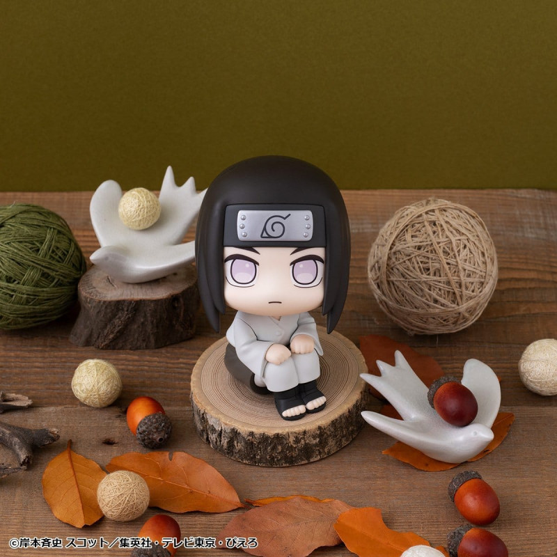 PRÉCOMMANDE - Naruto...