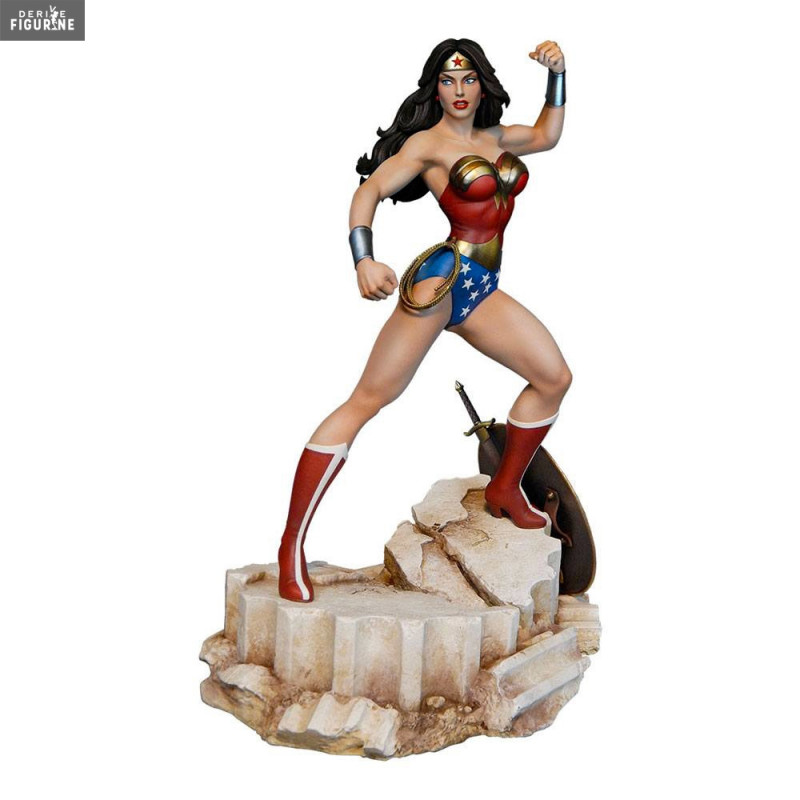 DC Comics - Figurine Wonder...