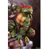 PREORDER - Teenage Mutant Ninja Turtles - Raphael figure