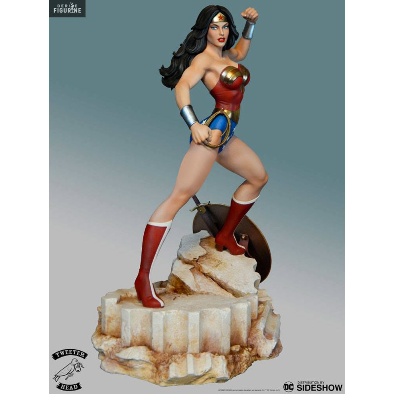 DC Comics - Figurine Wonder...