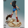 DC Comics - Figurine Wonder Woman, Super Powers, Édition Limitée