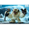 PREORDER - Star Wars - Wampa figure, Designer Collectible