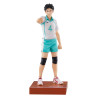PREORDER - Haikyu!! - Hajime Iwaizumi figure