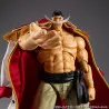 PRÉCOMMANDE - One Piece - Figurine White Beard Edward Newgate Ver.1.5, Variable Action Heroes
