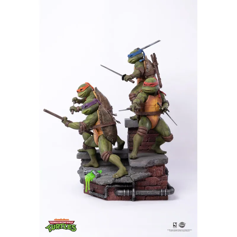 PRÉCOMMANDE - Les Tortues...
