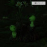 PRÉCOMMANDE - Studio Ghibli, Princesse Mononoké - Figurine Kodama, Soliflore