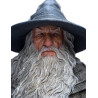 Le Seigneur des Anneaux - Figurine Gandalf le Gris, (Classic Series)