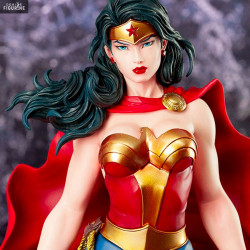 DC Comics - Figurine Wonder...