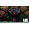 DC Comics, Injustice : Gods Among Us - Figurine Bane