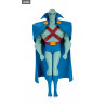 DC - Comics Justice League The Animated Series - Figure of your choice, wave 1