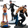 DC Comics - Figure Bane, Catwoman Batman Returns or Wonder Woman Linda Carter, Gallery