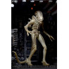 Alien - Pack 3 figures Ripley, Dallas and Big Chap, 40th Anniversary