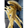 Alien - Pack 3 figures Ripley, Dallas and Big Chap, 40th Anniversary