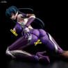 Taimanin Asagi 3 - Figurine Asagi Igawa Classique ou Photo Book Set