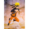 Naruto Shippuden - Naruto Uzumaki (Best Selection) figure, S.H. Figuarts