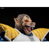 Dragon Ball Z - Great Ape Vegeta figure Tamashii Web Exclusive, S.H. Figuarts