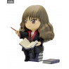 Figure Harry Potter Quidditch or Hermione Granger working on a spell