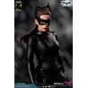 DC Comics, The Dark Knight - Catwoman or Batman (DX Edition) figure