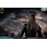 DC Comics, The Dark Knight - Figurine Catwoman ou Batman (DX Edition)