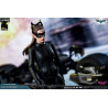 DC Comics, The Dark Knight - Catwoman or Batman (DX Edition) figure