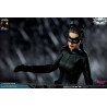 DC Comics, The Dark Knight - Catwoman or Batman (DX Edition) figure