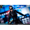 DC Comics, The Dark Knight - Figurine Catwoman ou Batman (DX Edition)