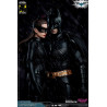 DC Comics, The Dark Knight - Figurine Catwoman ou Batman (DX Edition)