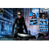 DC Comics, The Dark Knight - Catwoman or Batman (DX Edition) figure