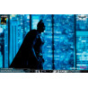 DC Comics, The Dark Knight - Catwoman or Batman (DX Edition) figure