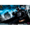 DC Comics, The Dark Knight - Catwoman or Batman (DX Edition) figure
