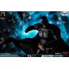 DC Comics, The Dark Knight - Catwoman or Batman (DX Edition) figure